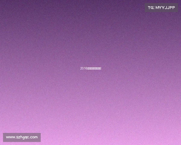 2016上海马拉松赛事时间