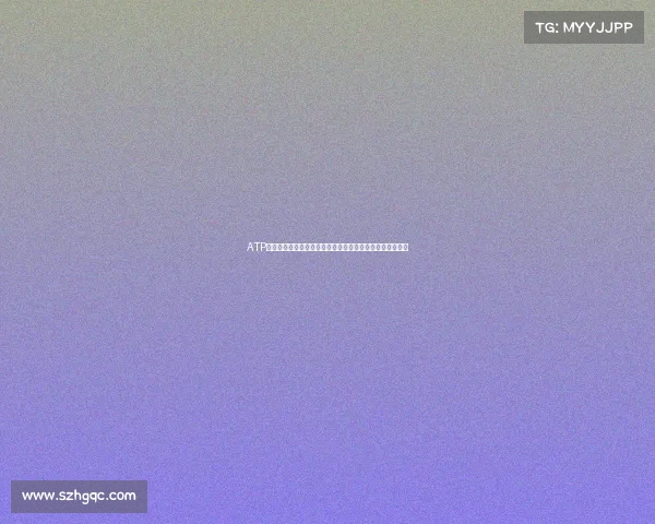 ATP赛事等级全攻略带你深入了解男子职业网球锦标赛分类标准